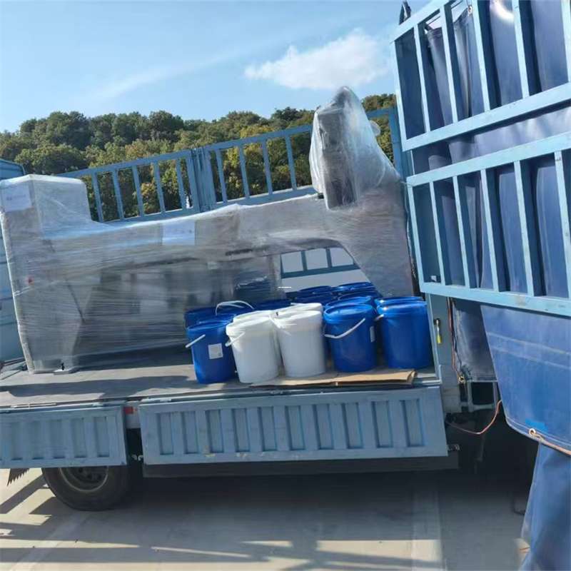 郫都区大路镇：物流运输的多元魅力与实践探索